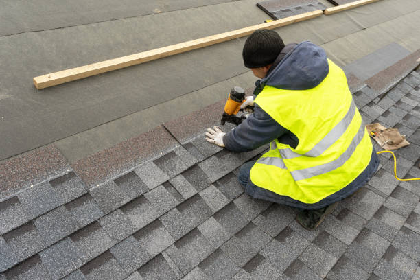 Best Roof Gutter Cleaning  in Aiea, HI